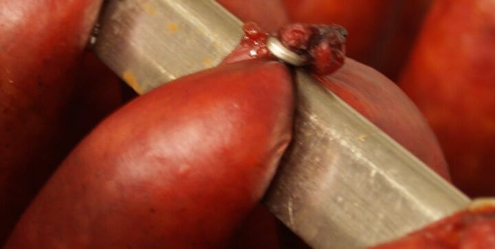 reduce smokehouse cook time