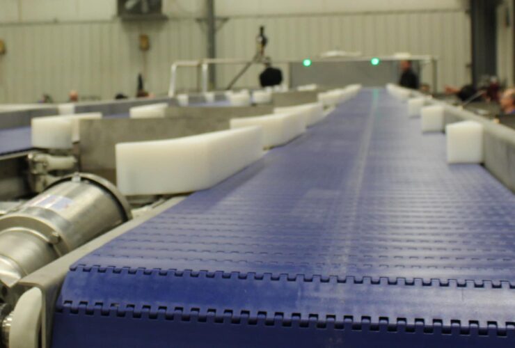 7 design features for sanitary conveyor