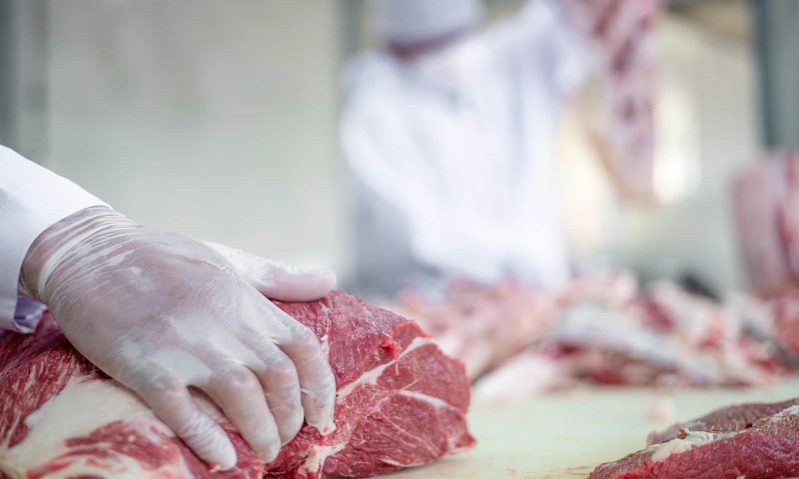 prevent covid-19 in your food processing plant meat