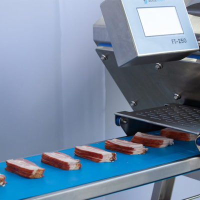 ft-250 industrial deli slicer
