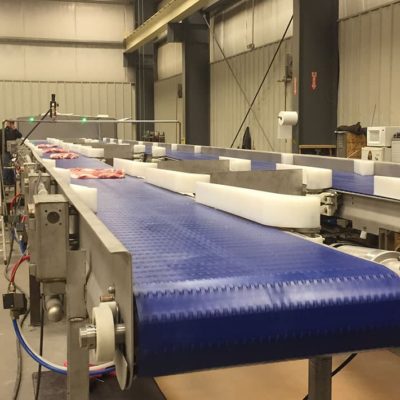 pork belly sortation conveyor