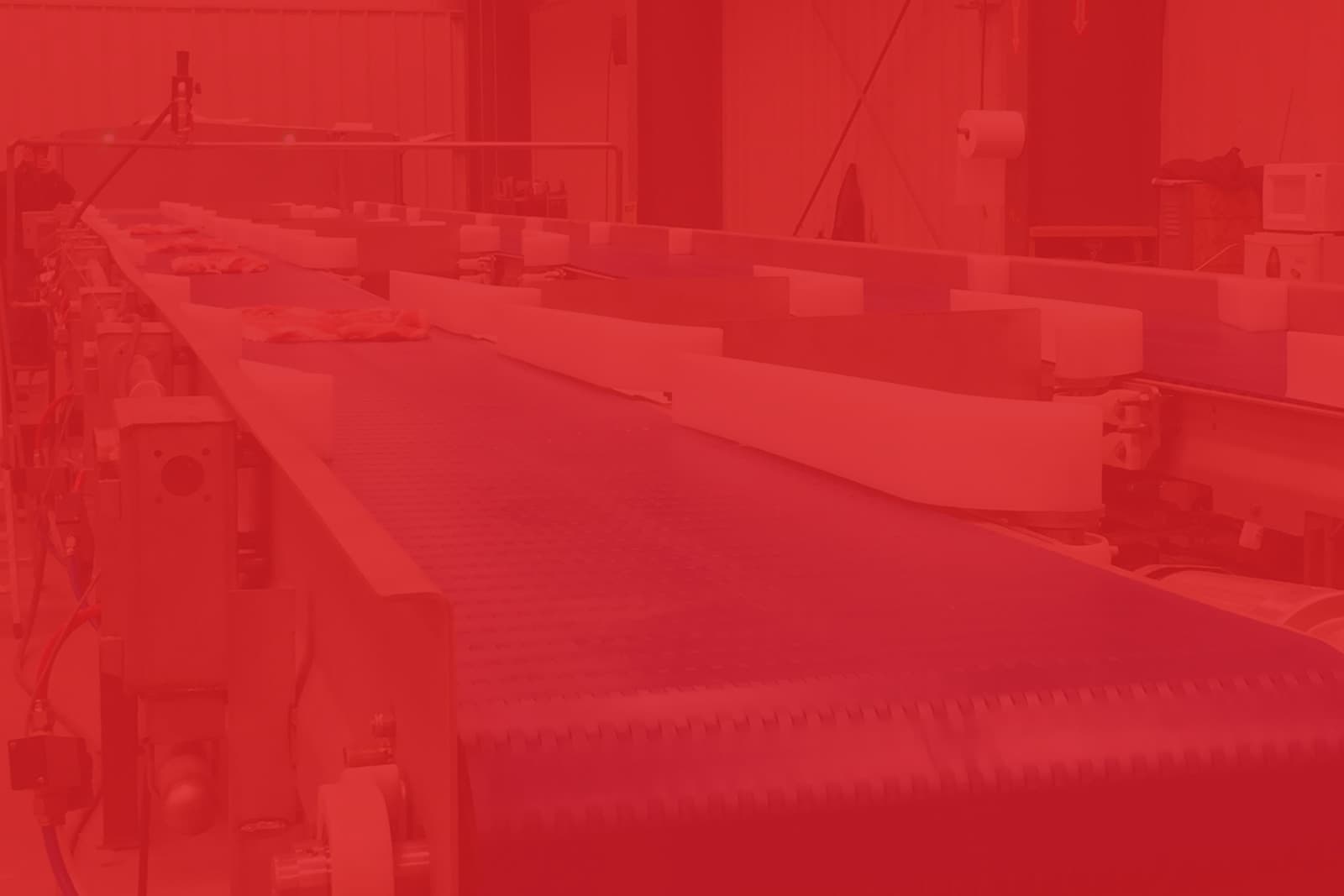 belly sortation conveyors