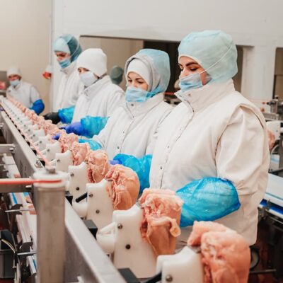 food processing ergonomics