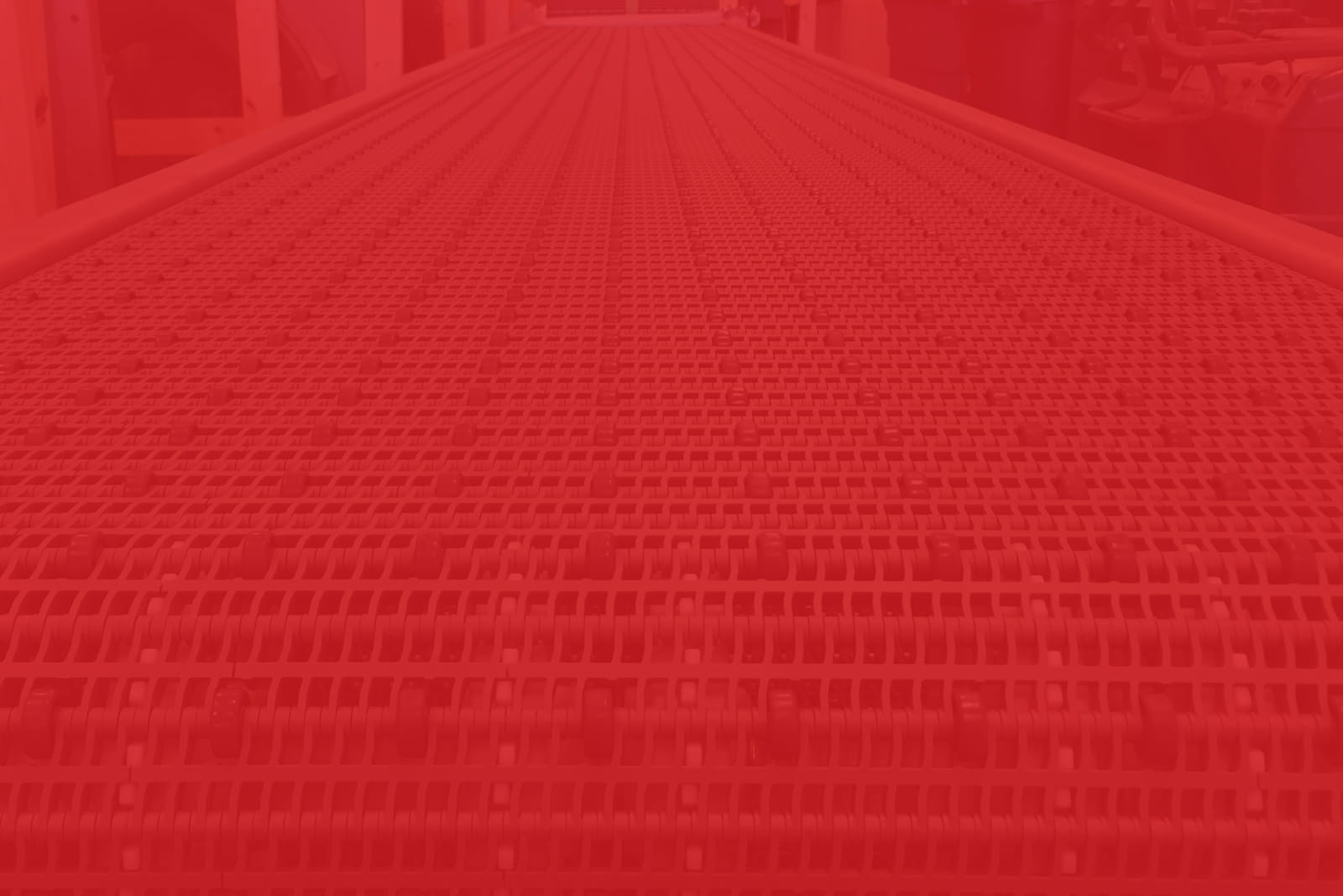 standard food processing conveyors