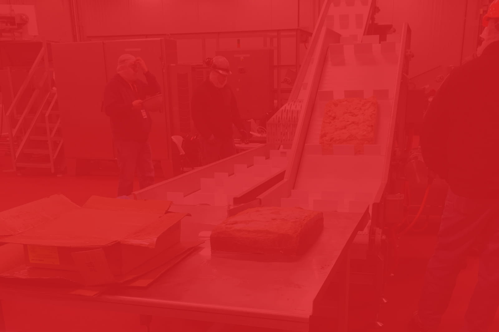 standard food processing conveyors