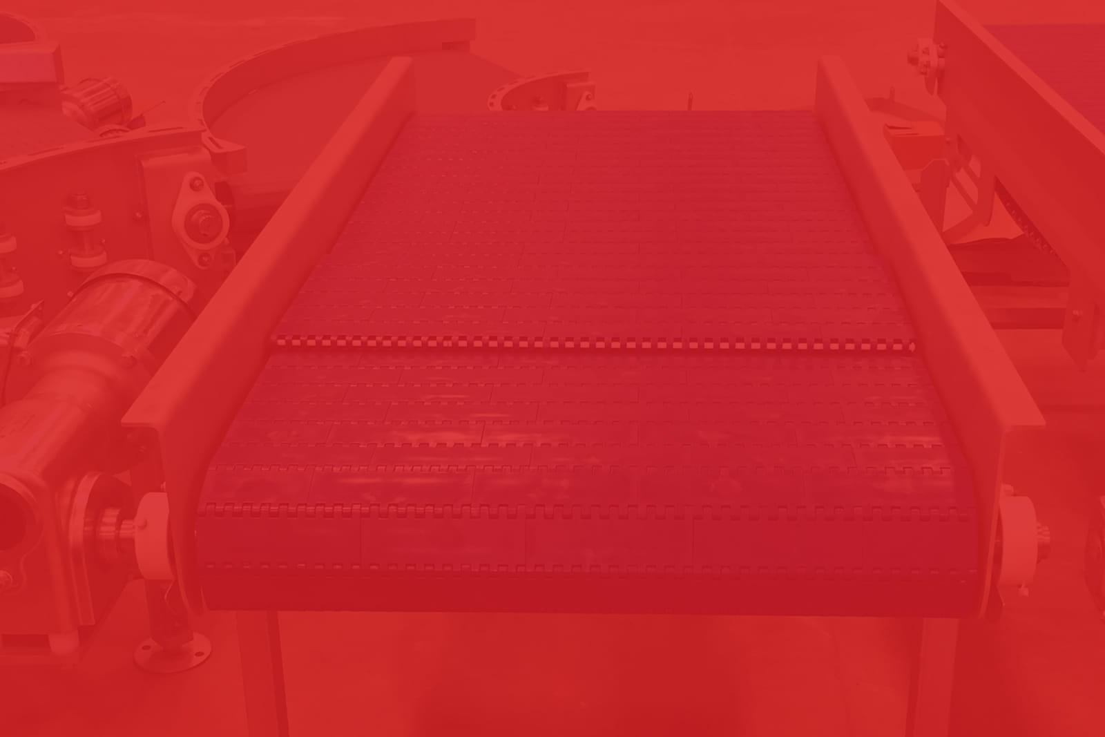 standard food processing conveyors